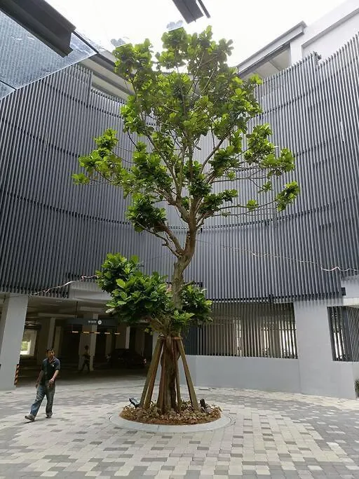 Sky Trees 4 Guests High Floor Nflix Hbo Disney Garden View A1801 Johor Bahru Apartment